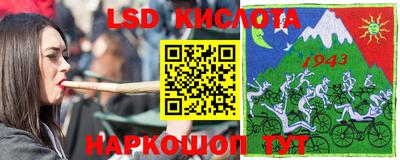 дмт Бийск