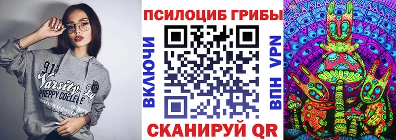 OMG как зайти  Бердск  Галлюциногенные грибы Magic Shrooms 