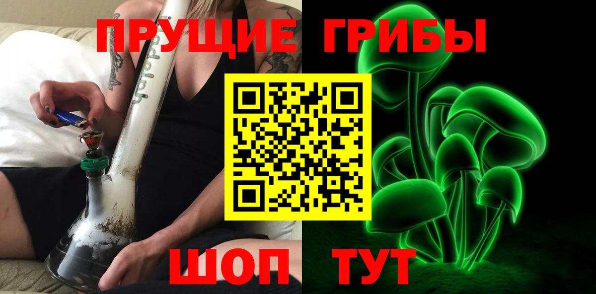 Псилоцибиновые грибы Cubensis  Вход с VPN  Бердск  Галлюциногенные грибы Psilocybine cubensis 