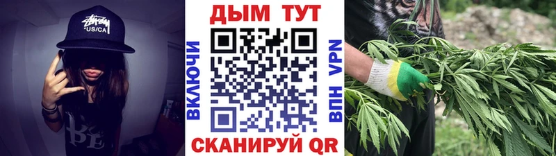 Канабис план Бердск